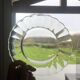 Duralex dessert plates in the shape of a daisy flower, transparent glass