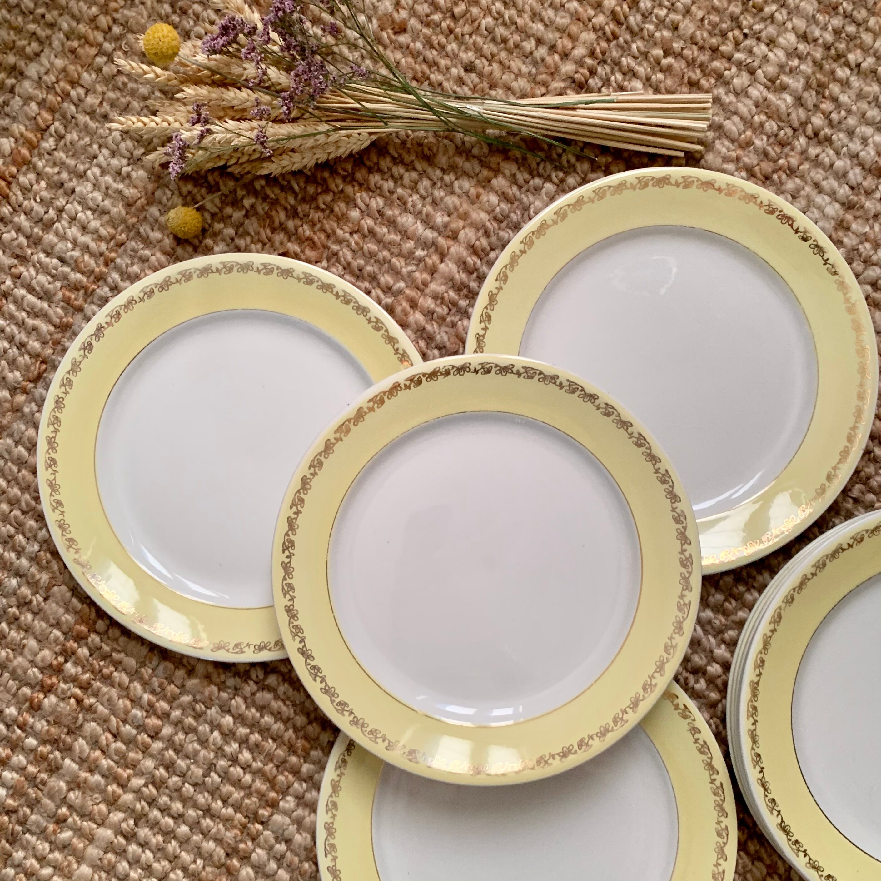 9 flat plates K-G Lunéville