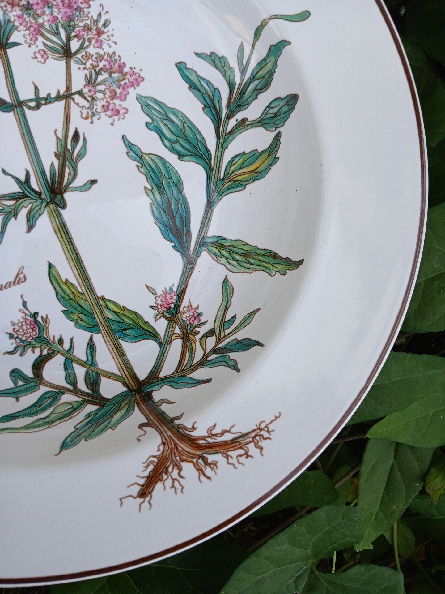 Assiette creuse Villeroy et Boch