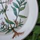 Assiette creuse Villeroy et Boch
