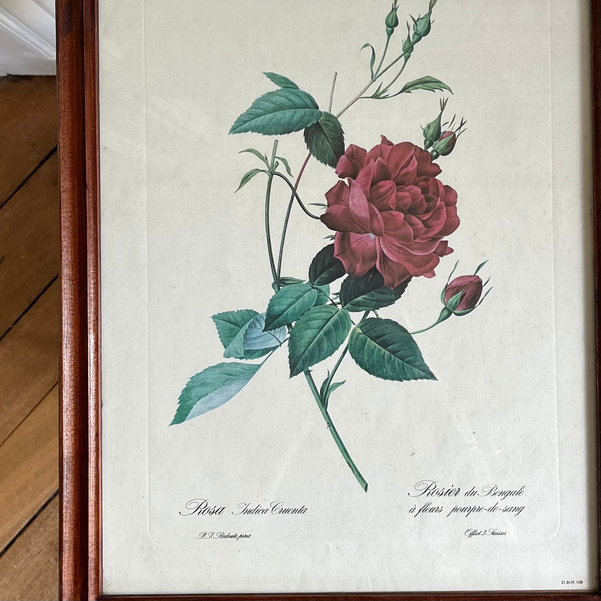 Framed pink botanical posters