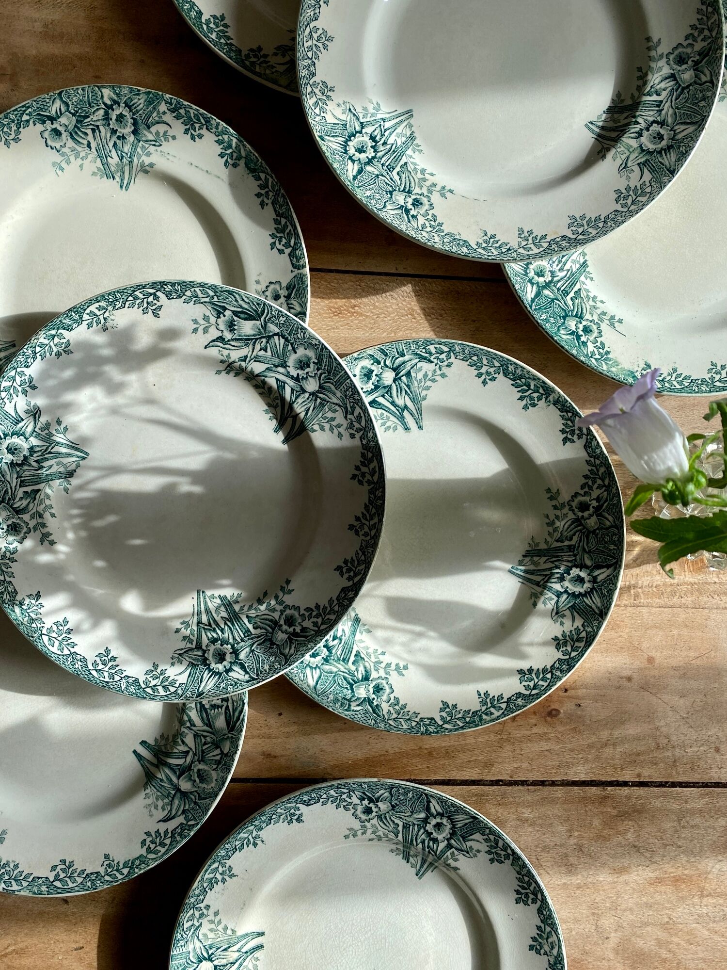 Set of 8 vintage flat plates in iron earth, model Narcisses de Saint Amand (LOT1)