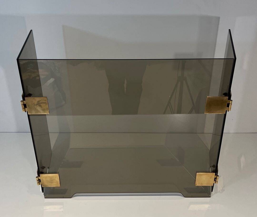 Three-Panel Folding Fire Screen in Smoked Glass with Polished Brass Hinges,