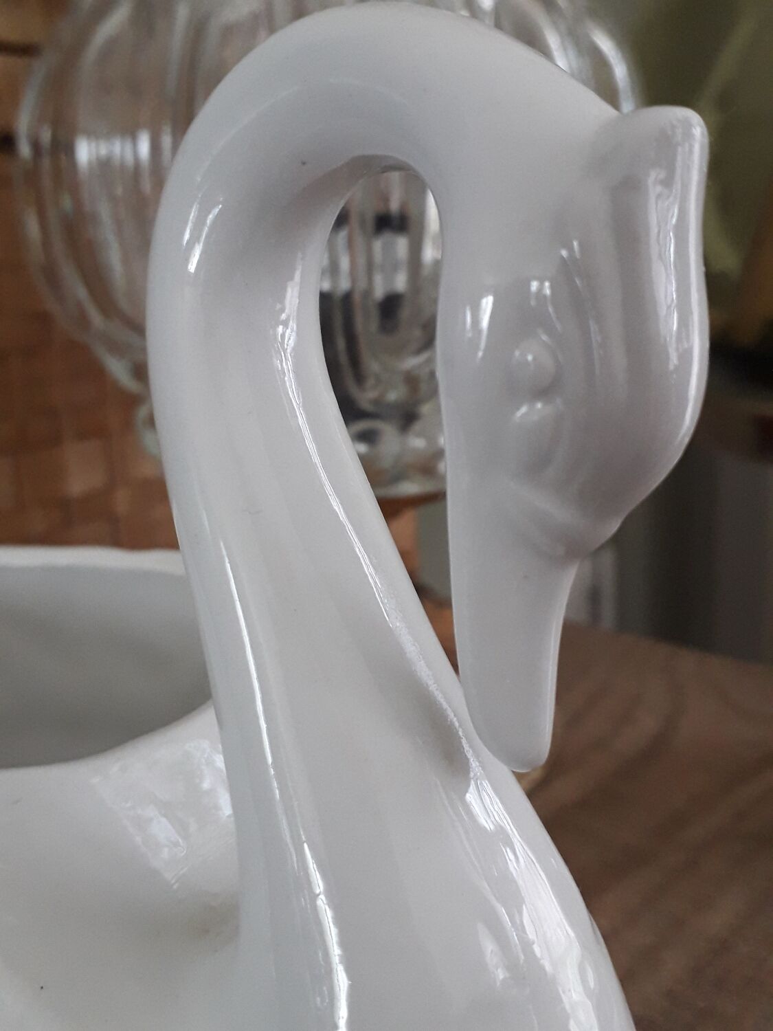 Swan plant pot