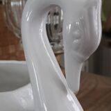 Swan plant pot