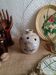 Vase pique flowers in terracotta - vintage