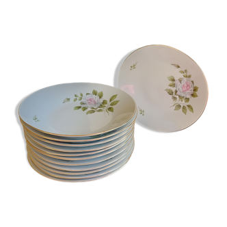 12 hollow plates in Bavarian porcelain - Roses
