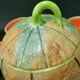 Ensemble salade de fruits melon barbotine
