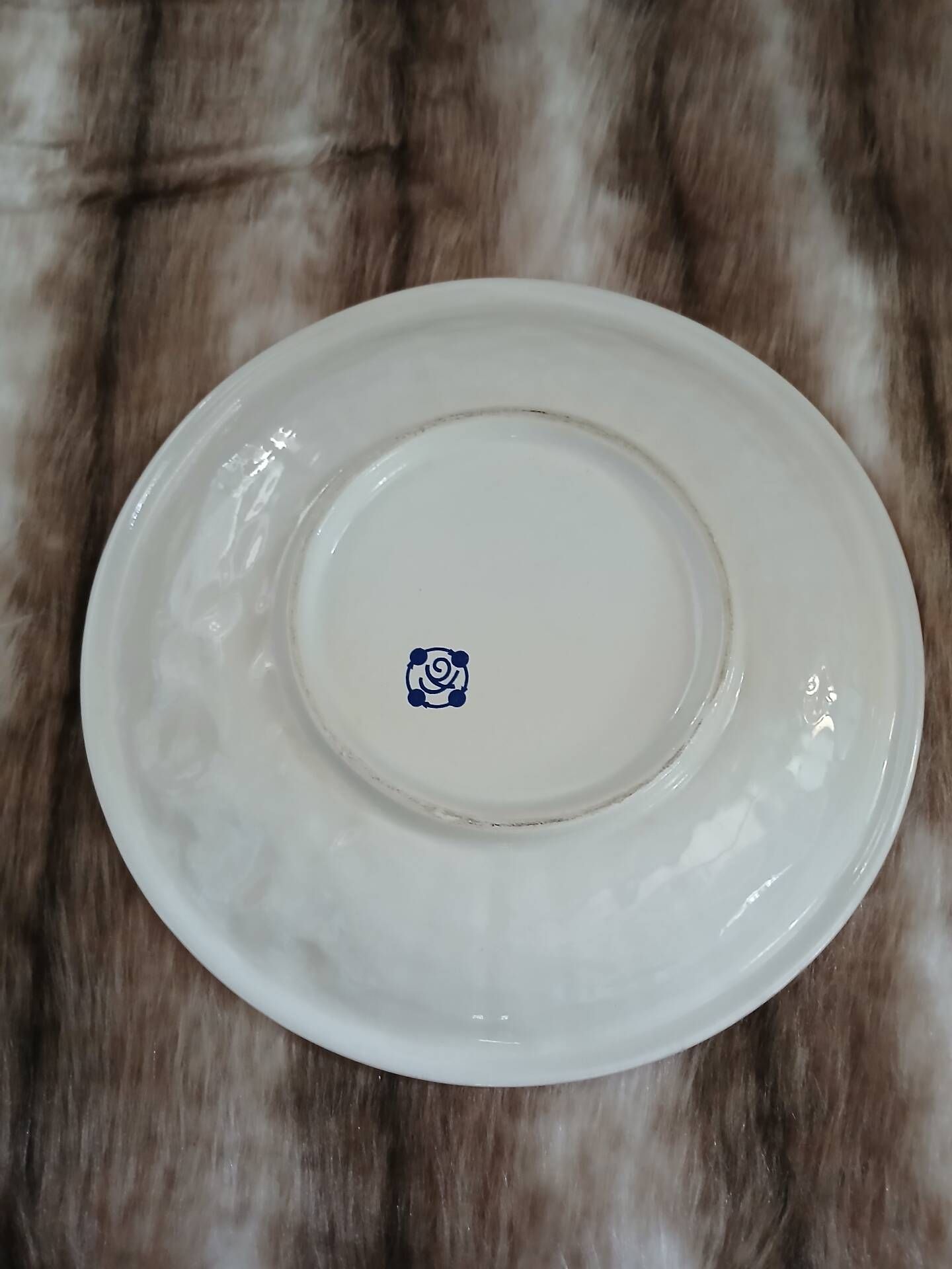 Assiette ancienne en barbotine