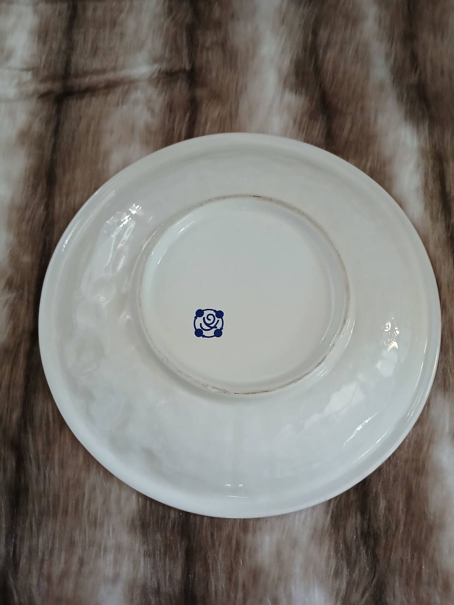 Assiette ancienne en barbotine