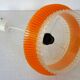 Transparent plastic space age lustre with orange band from the 70s.
