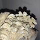 Ancient coral scallop shell