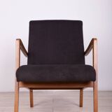 Type 300-138 Beech Armchairs from Bystrzyckie Furniture Factory, 1960s, Set of 2