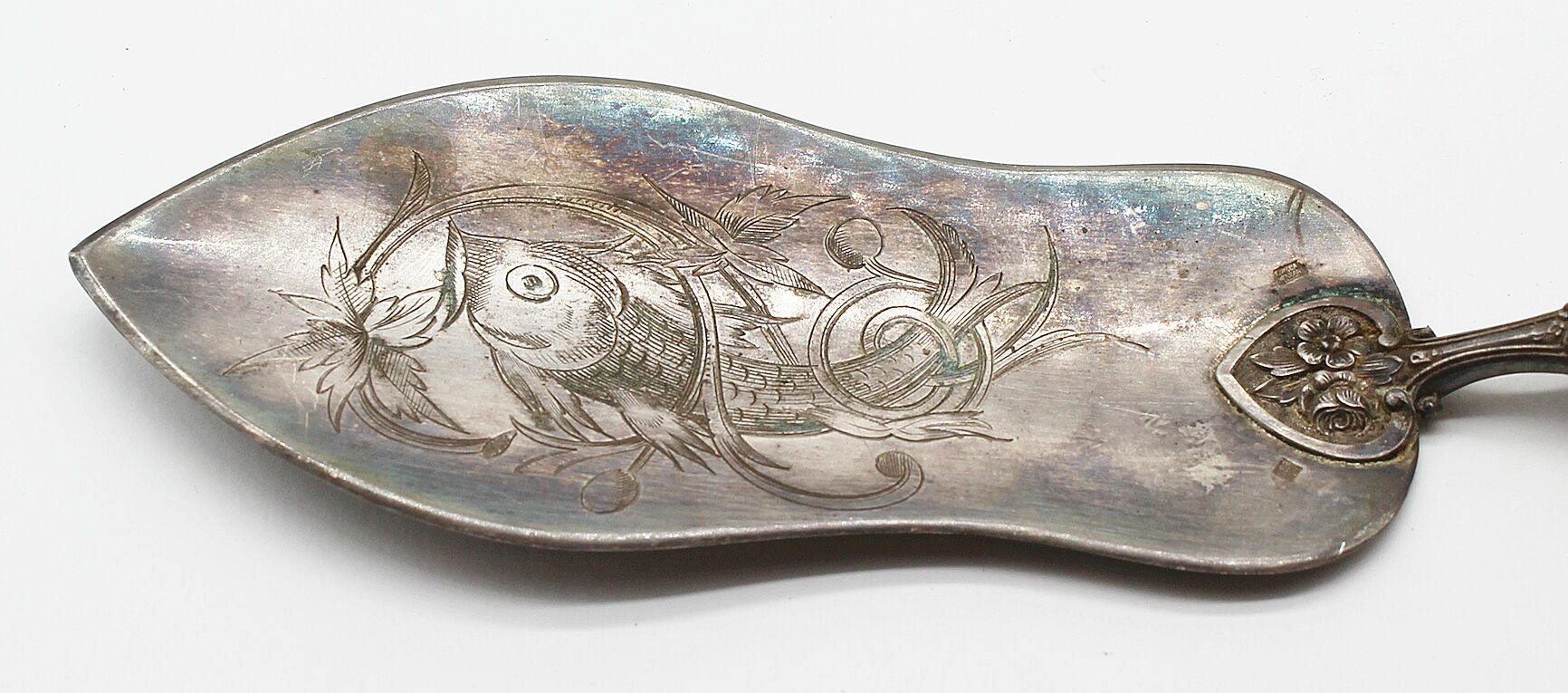 Bayard fish shovel in silver metal