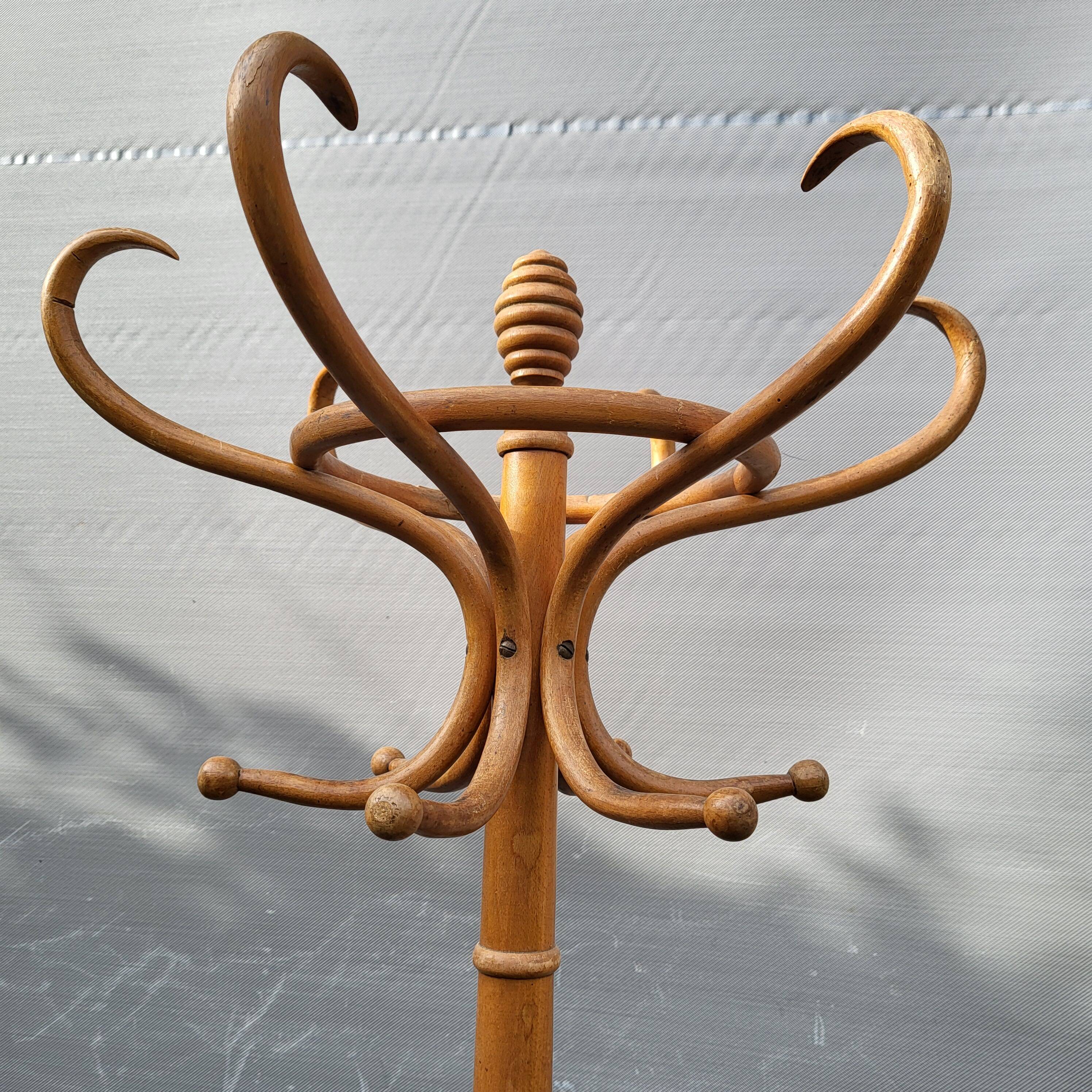 Parrot curved wood coat rack