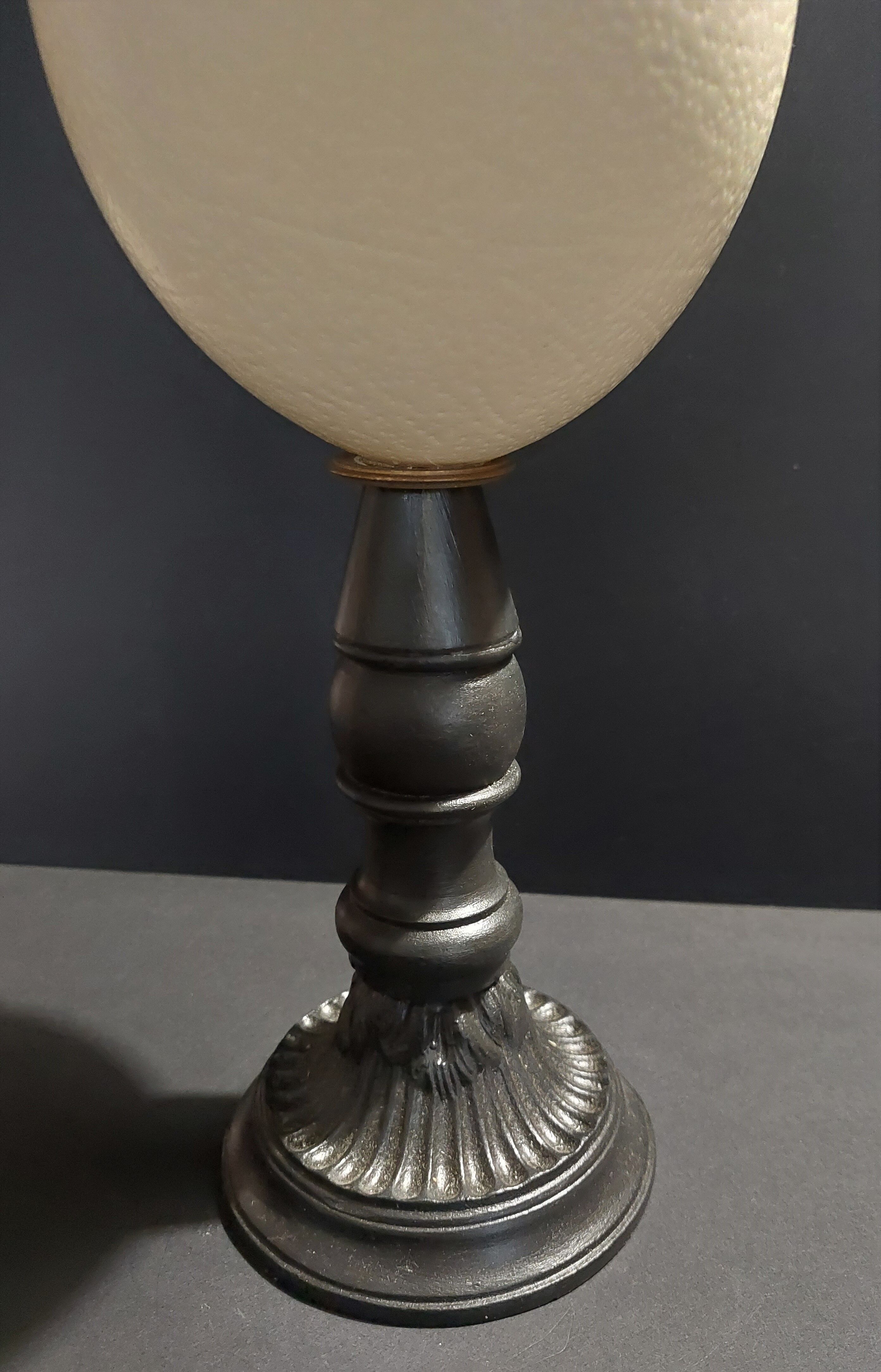 Cabinet de Curiosités oeuf d'autruche struthio camelus sur socle