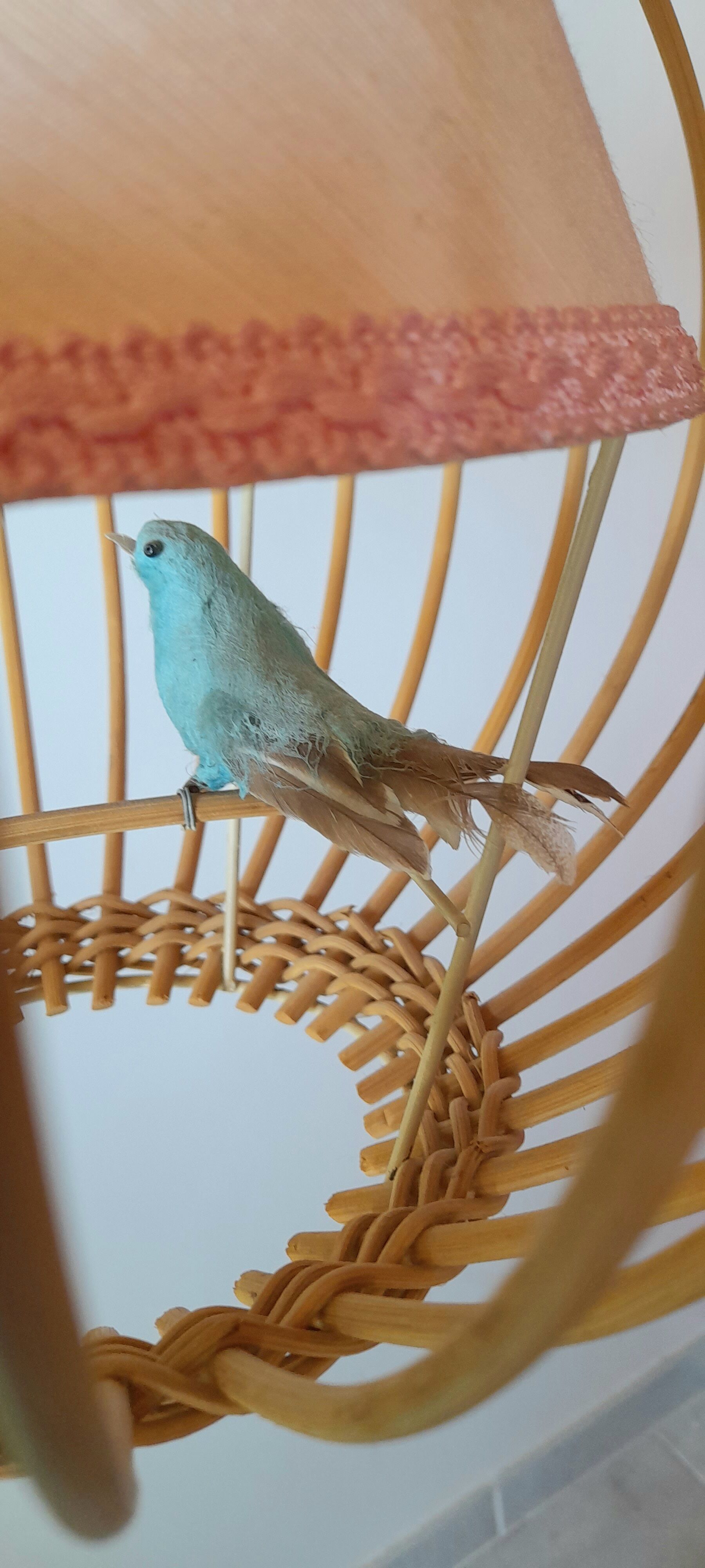 Suspension rattan bird cage 1960