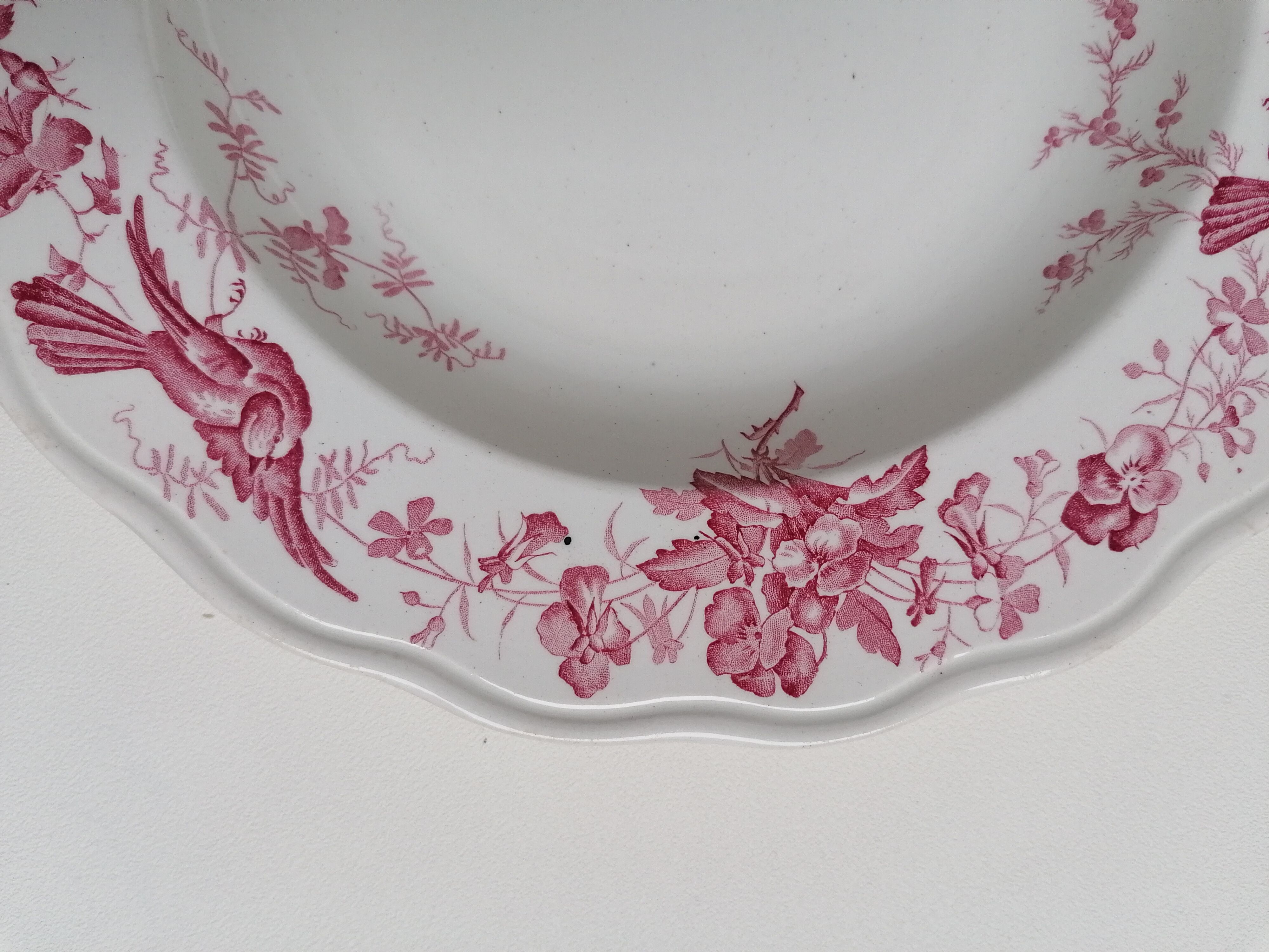 6 hollow plates English earthenware Cauldon England from the great depot E. Bourgeois