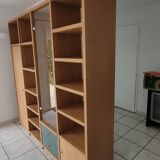 Ligne Roset Contemporary bookcase