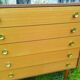 Chest of drawers from the 50s 5 drawers sideboard