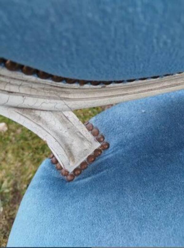 Chaise médaillon Louis XVI