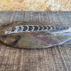 Ancient Fossil Orthoceras Polished Paperweight Vintage #D985