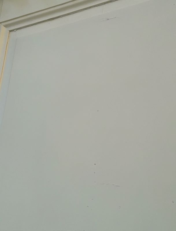 Door 229,2x79,2cm old closet