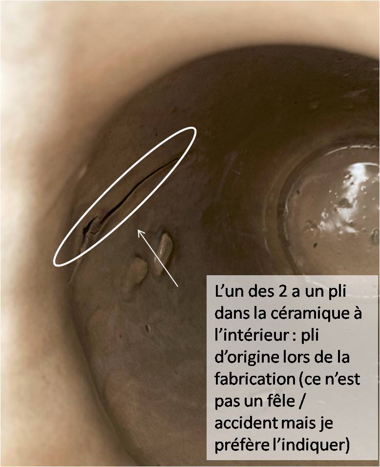 Pair of  chinese vases