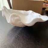 Shell cutting