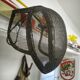 Ancient fencing mask