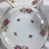 Plats en porcelaine de Limoges