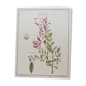 Henné botanical plank