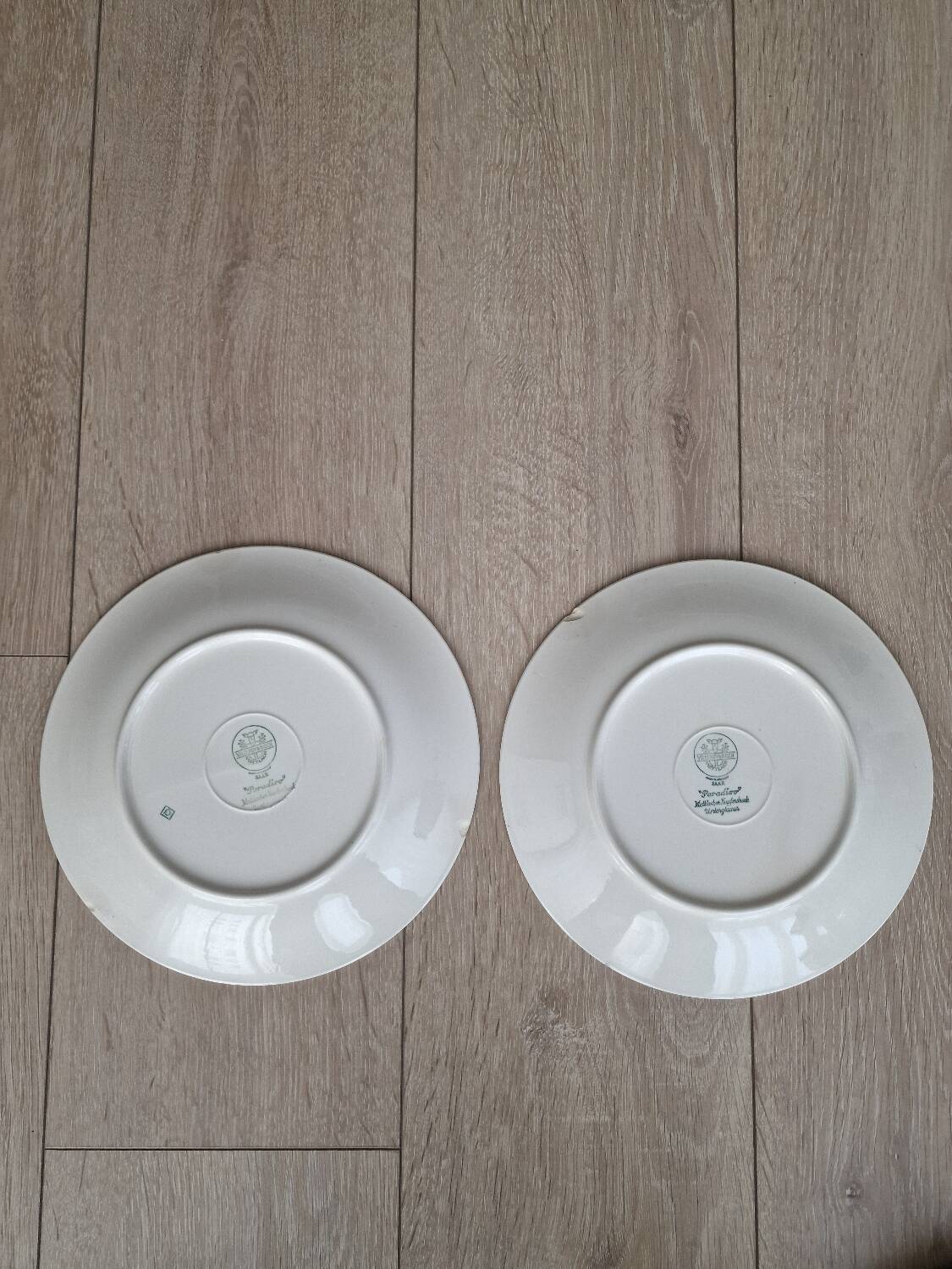 2 Villeroy and Boch Paradiso dinner plates