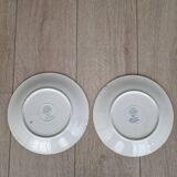 2 Villeroy and Boch Paradiso dinner plates