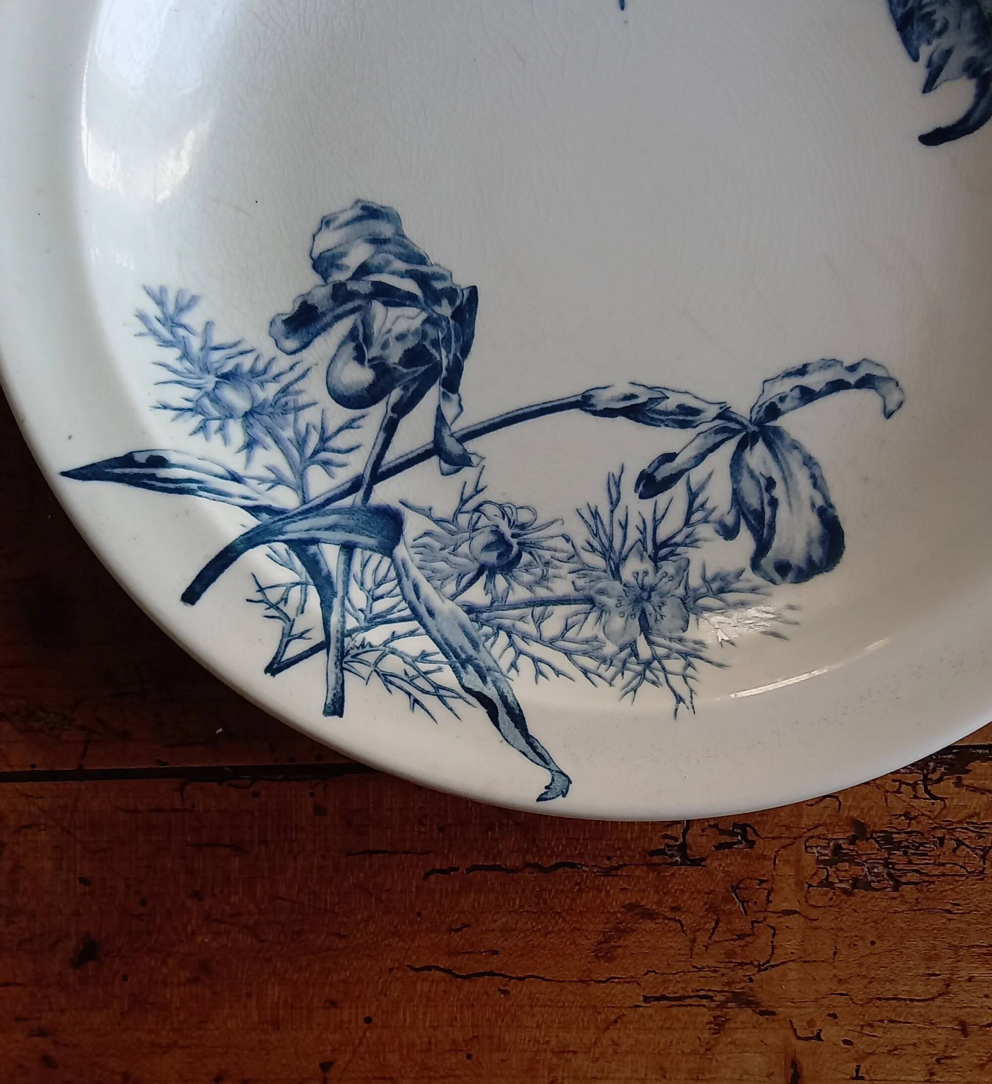 Round plate, ironstone, Clairefontaine Sanejouand & Graves 1890 "Flowers"