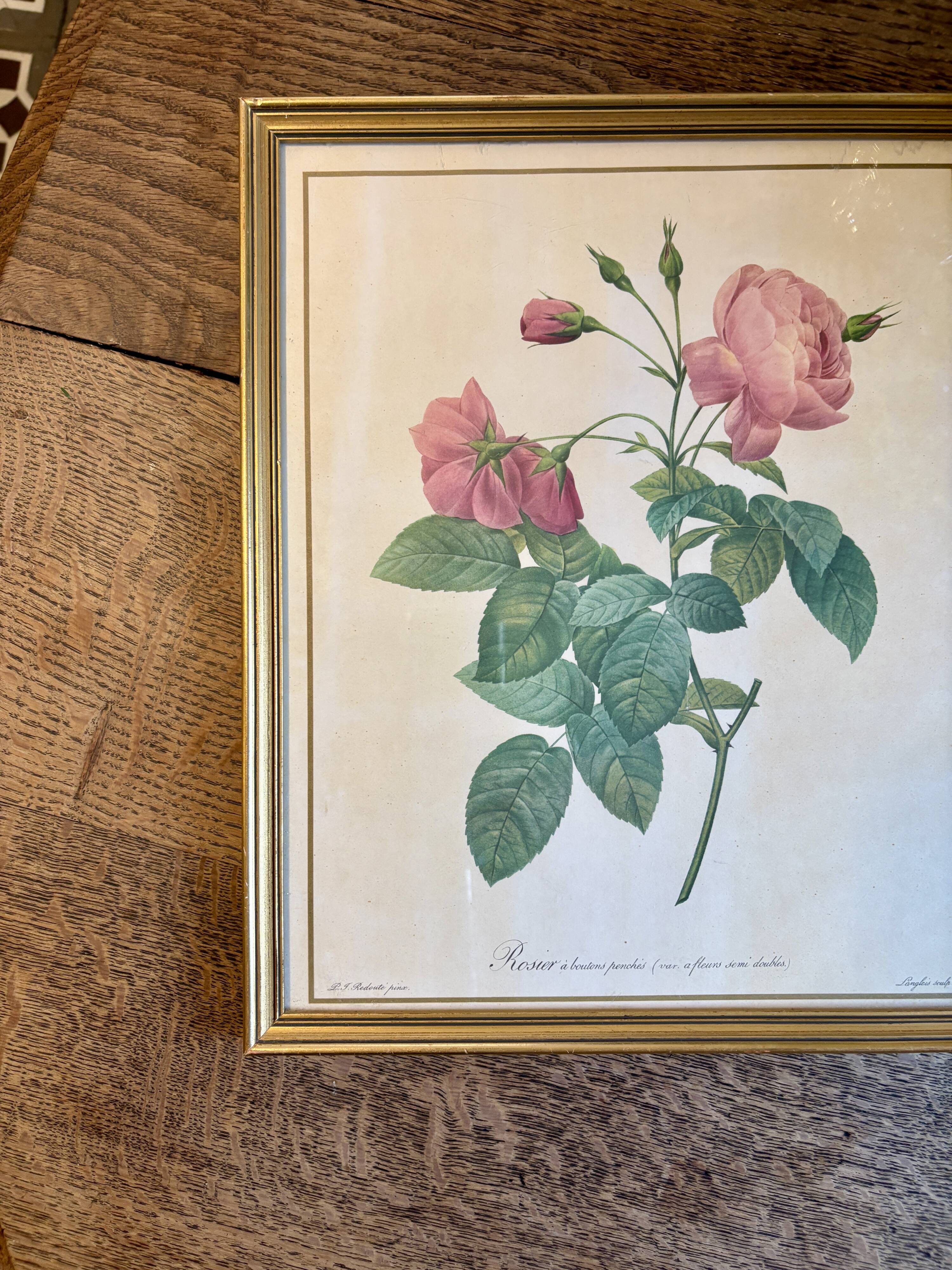 Old frame Redouté roses