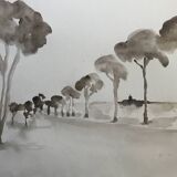 Painting signed monochrome watercolor “pine forest in Provence”