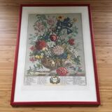 Old English botanical plate for the month of June