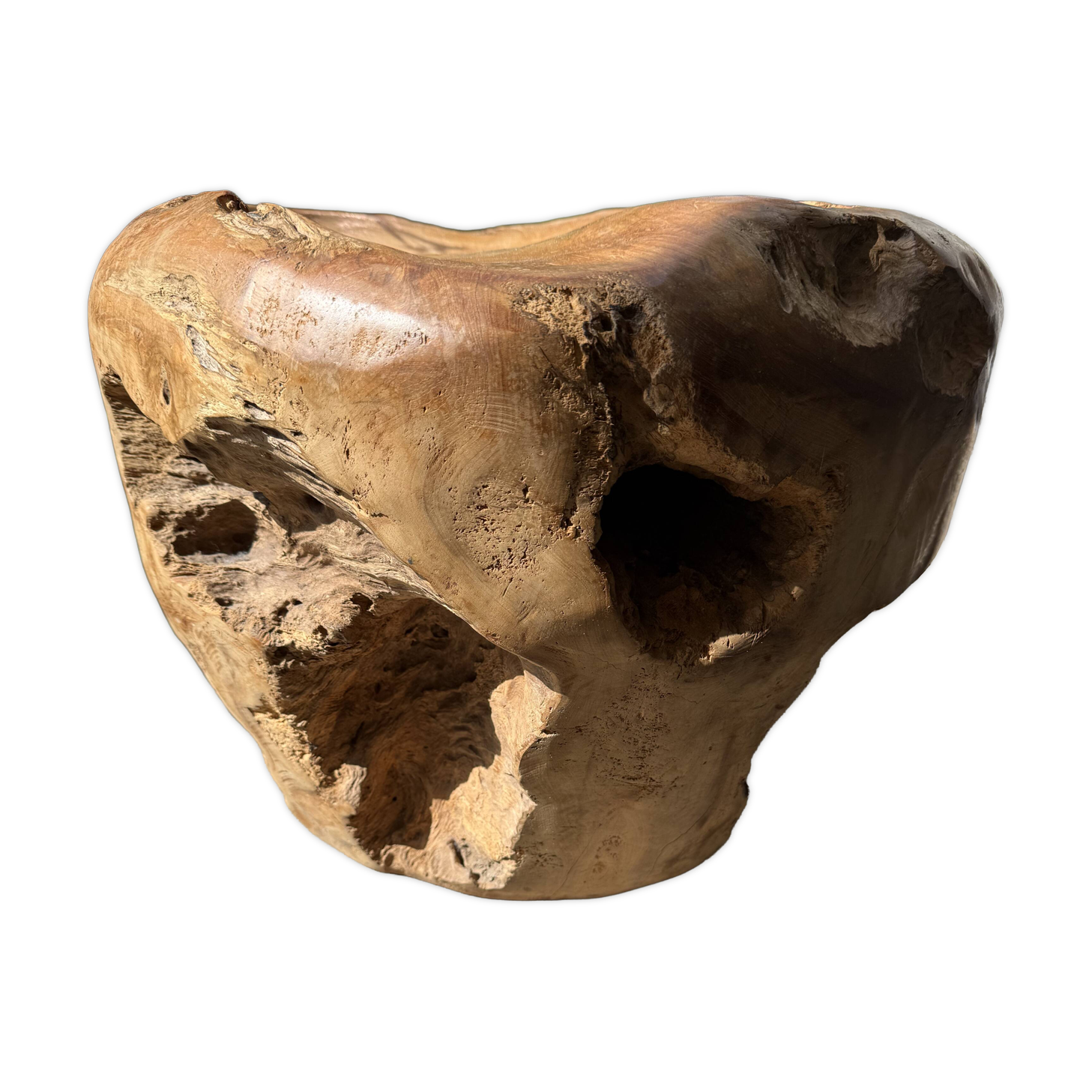 Olive root chair design