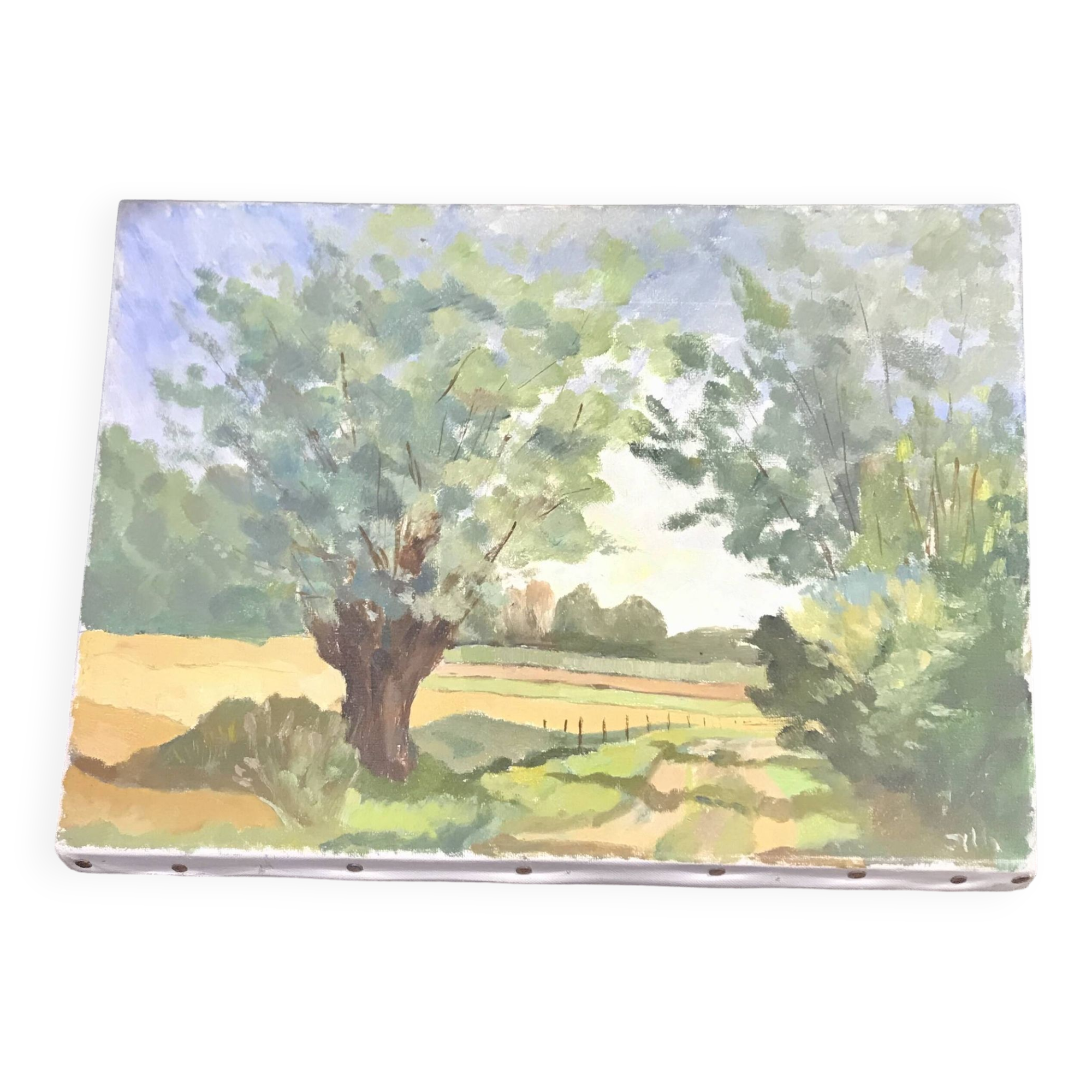 Painting on old frame Country Landscape