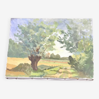 Painting on old frame Country Landscape