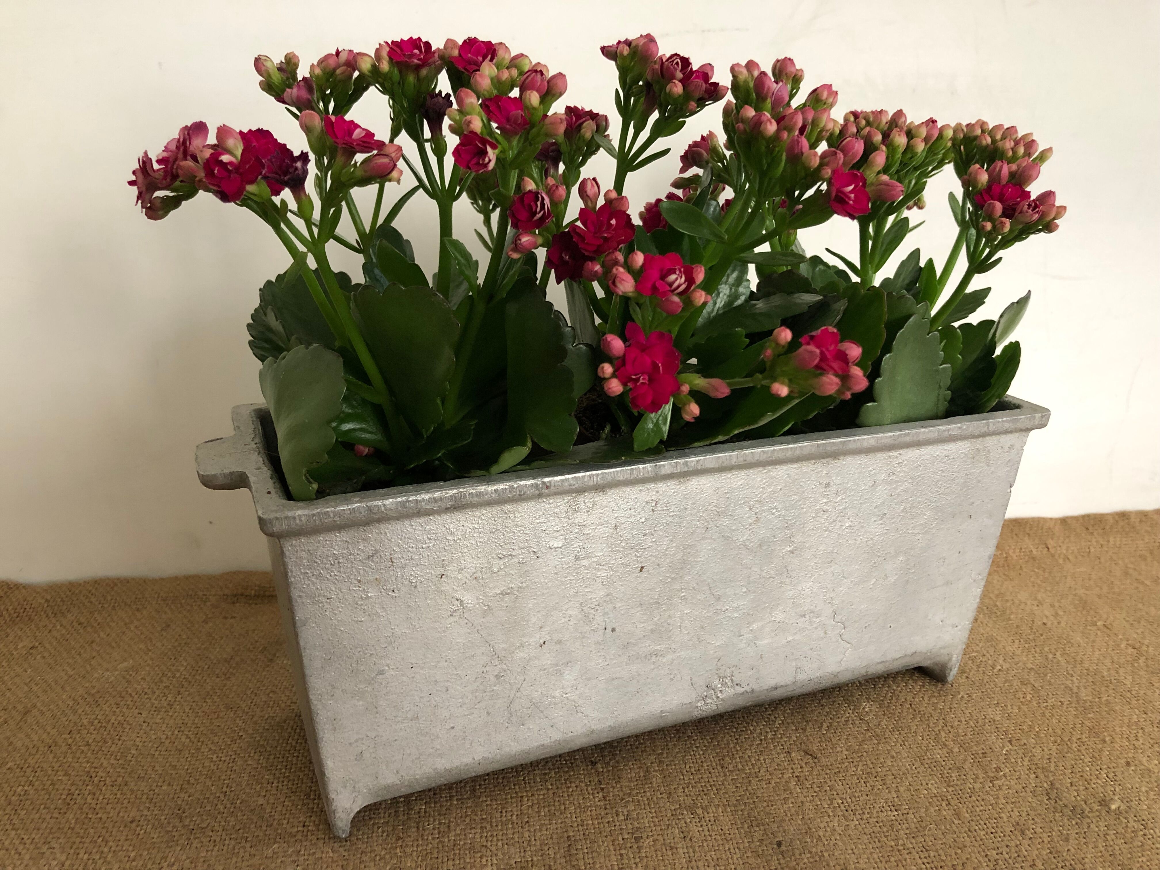 Planter, old cast aluminum mold