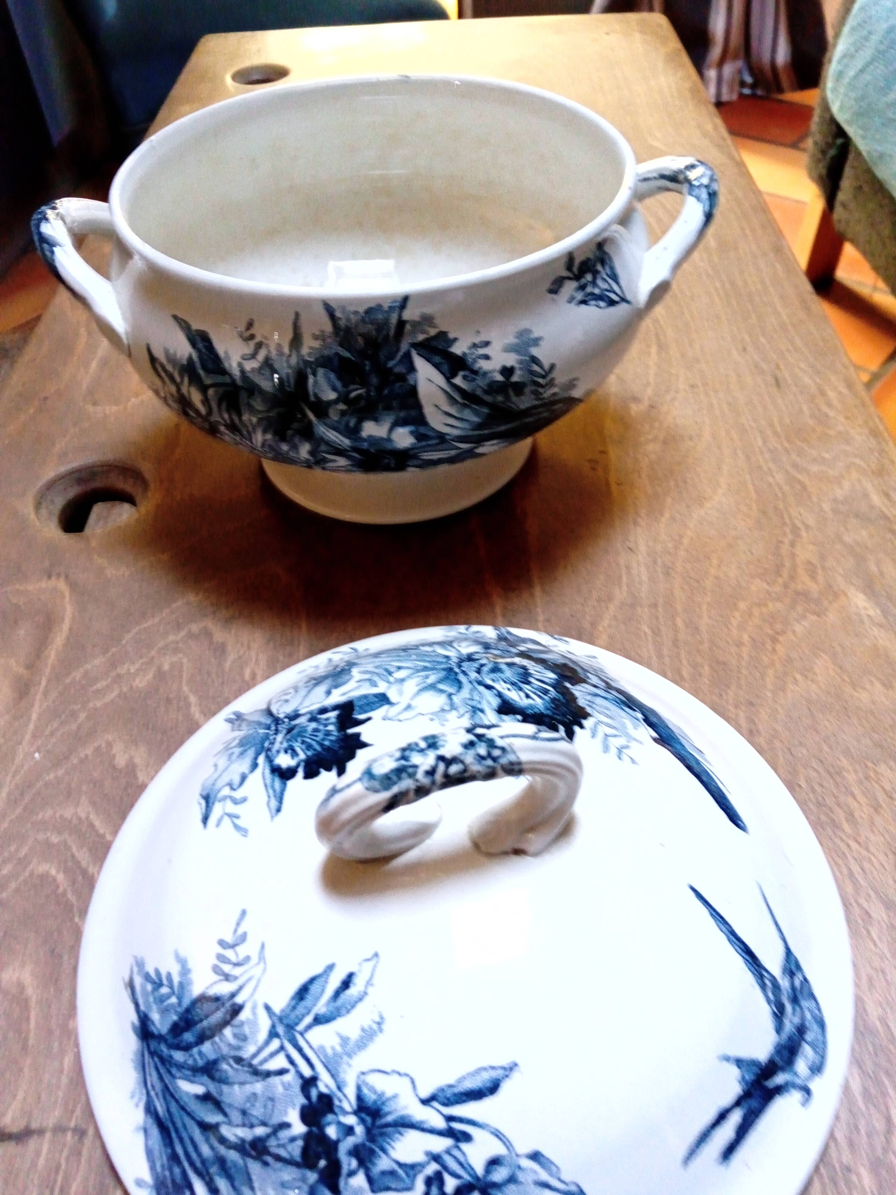 Tureen Iron Earth Orchids