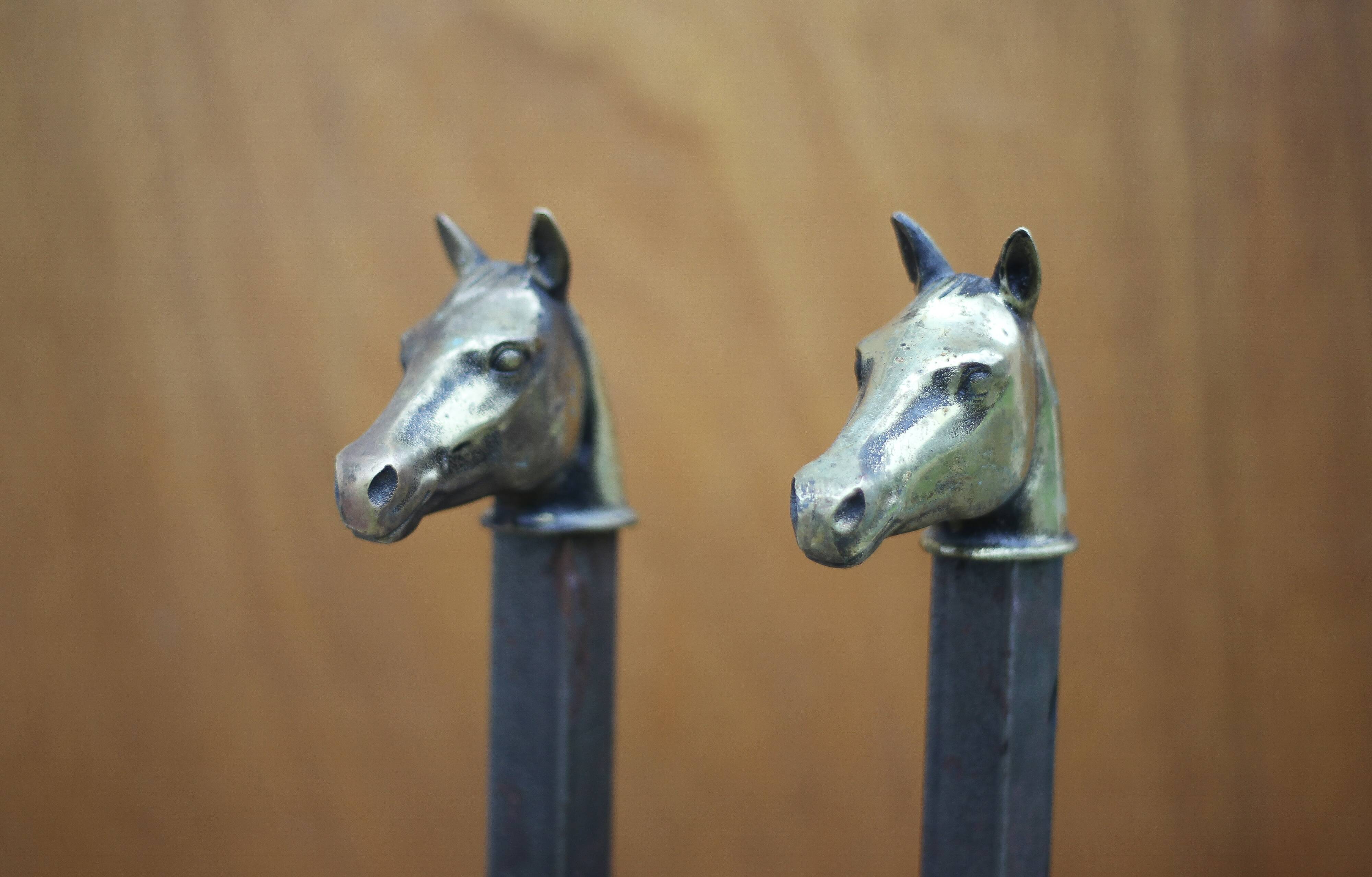 Vintage fireplace andirons, pair of cast iron animal andirons, brass horse head