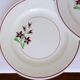 5 flat plates from Salins 210646