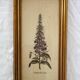 Set of 4 vintage plant botanical lithograph paintings