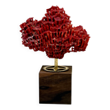 Corail rouge naturel ancien sur socle en bois d' ébène cabinet de curiosités