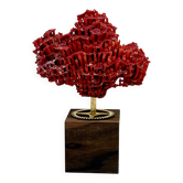 Corail rouge naturel ancien sur socle en bois d' ébène cabinet de curiosités