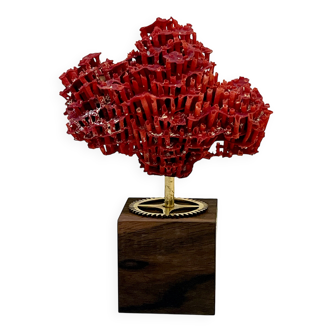 Antique natural red coral on ebony wood base cabinet of curiosities