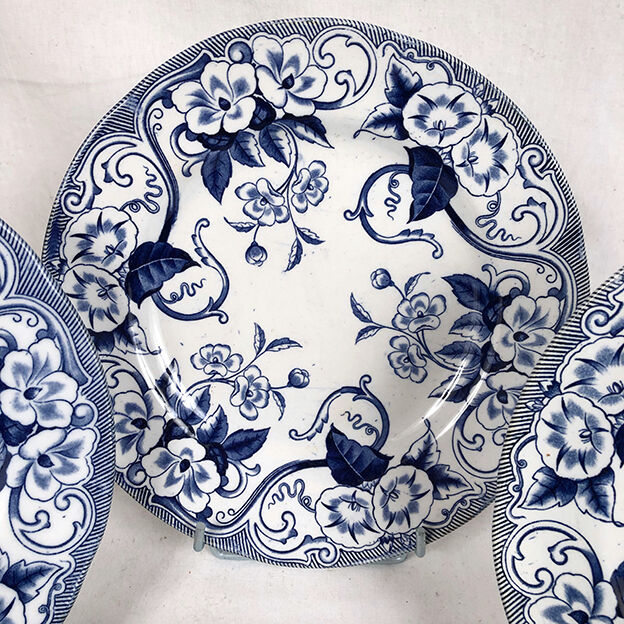 Creil & Montereau nineteenth series, Flora model. Ten flat plates